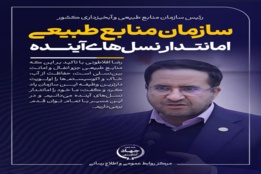 ریاست سازمان