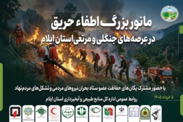 گالری فیلم