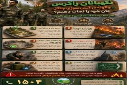اینفوگرافیک
