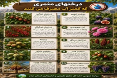 درختان مثمری که آب کمتری مصرف می کنند 