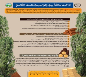زراعت چوب (درخت بکاریم، چوب برداشت کنیم)