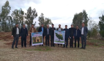 پویش نهالکاری