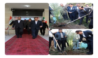 کاشت نهال بلوط و خرما نماد دیپلماسی سبز و تقویت همکاری‌های فرامرزی در استان ایلام