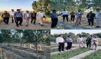۵۰۰هزار نهال در نهالستان گرمسیری دهلران بذکاری و گلدانگیری شده است