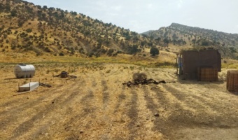 اجرای گشت حفاظتی و پیشگیرانه در اراضی روستای چم انار