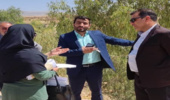 بازدید میدانی و معاینه محل رئیس اداره حقوقی منابع طبیعی استان به همراه قاضی (شعبه ویژه) پنجم دادگاه عمومی و حقوقی شهرستان ایلام از شهرستان آبدانان