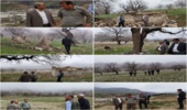 بازدید از محل پیشنهادی اداره منابع طبیعی و آبخیزداری شهرستان چوار جهت احداث نهالستان سردسیری در این شهرستان 