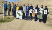پویش همگانی در راستای کاشت یک میلیارد درخت شهرستان سیروان