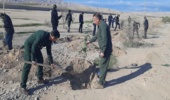 مراسم نهالکاری با حضور فرماندهان پایگاه های مقاومت، مسئولین حراست ادارات کل و پیشکسوتان جبهه و جنگ مسیر حاشیه جاده شهرستان مهران