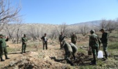 کاشت سیصدهزار اصله نهال توسط یگان ویژه استان در دومین روز از هفته