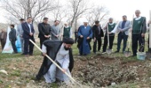 مشارکت هیئت خادمین الرضا(ع) شهر ایلام در اجرای طرح مردمی کاشت یک میلیارد درخت