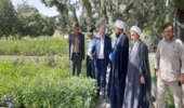 بازدید مسئول حوزه نمایندگی ولی فقیه در سازمان منابع طبیعی و آبخیزداری کشور از نهالستان سردسیری ایوان