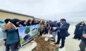 کاشت نهال در مدرسه زنده یاد محمدرضا حیدری و اداره کل نوسازی 