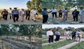 ۵۰۰هزار نهال در نهالستان گرمسیری دهلران بذکاری و گلدانگیری شده است