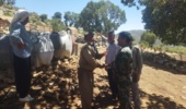 پیگیری شکایات وگزارشات دامداران توسط یگان حفاظت اداره منابع طبیعی و آبخیزداری شهرستان ایلام