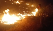 حریق ارتفاعات شلم ایلام مهار شد