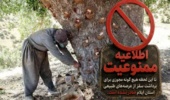 اطلاعیه