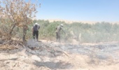 مهار حریق در منطقه کنچاچم شهرستان مهران