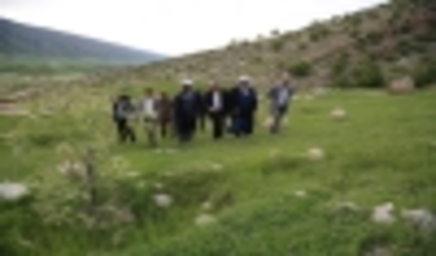 34 هزار هکتار از عرصه های طبیعی ایلام جنگل کاری می شود