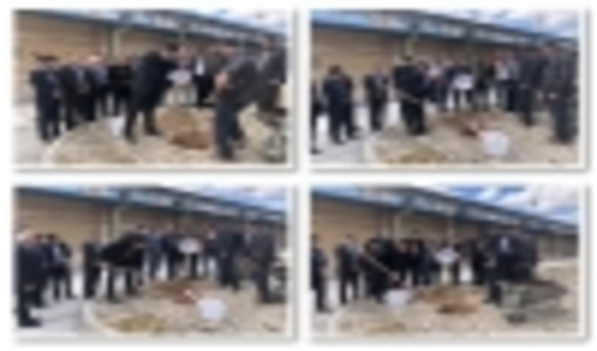 کاشت درخت مهارت در مرکز تخصصی آموزش فنی و حرفه ای شماره 12 شهرستان ایلام