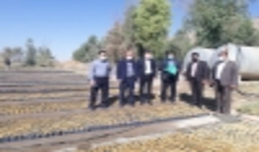 بازدید کارشناسان مرکز جنگل های خارج شمال سازمان جنگل ها، مراتع و آبخیزداری کشور از نهالستان و طرح جنگلکاری چرمین شهرستان سیروان