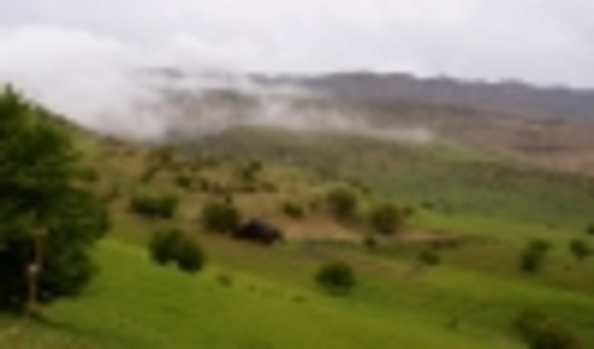 احیاء جنگل های استان از محل طرح مدیریت بوم سازگان زاگرس