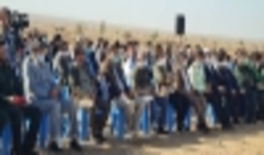 سه میلیون اصله نهال در طرح پویش “ملی ایران سبز” در ایلام کاشت می شود