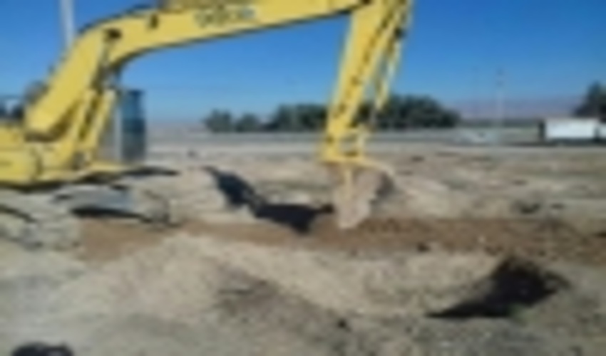 پایان جنگل کاری حاشیه جاده پل زائر تا میدان اربعین شهر مهران