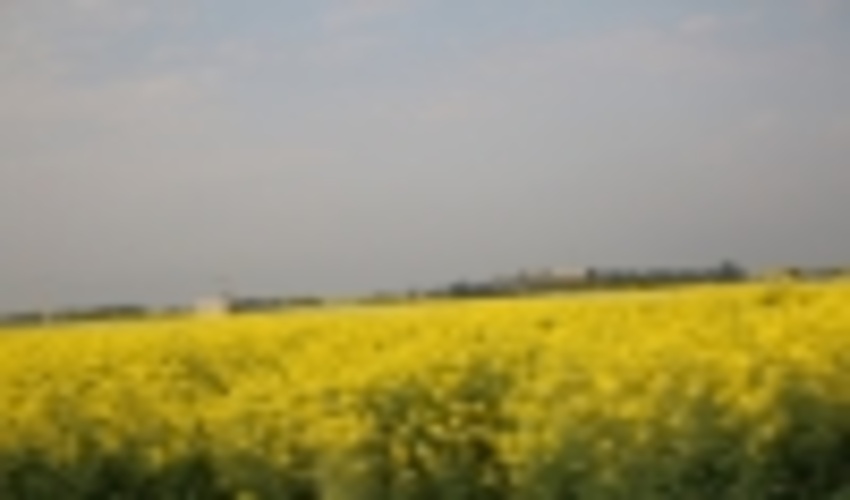 پروژه های اجرا شده بخش مرتع از محل صندوق توسعه ملی در شهرستان ایلام