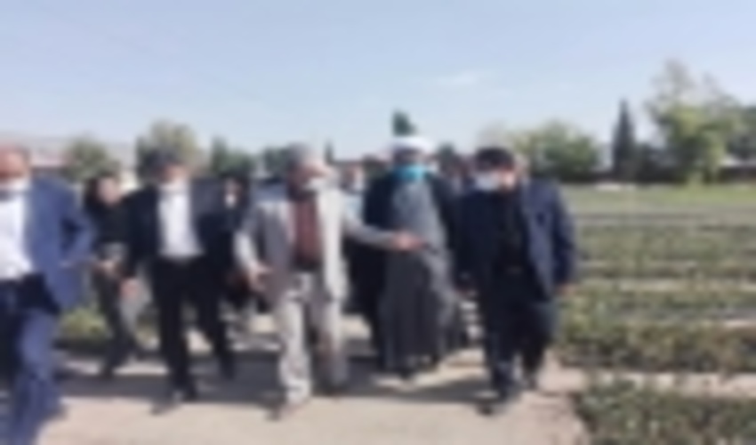 بازدید دکتر منصور معاون وزیر جهادکشاورزی و رئیس سازمان جنگل ها از نهالستان ایوان