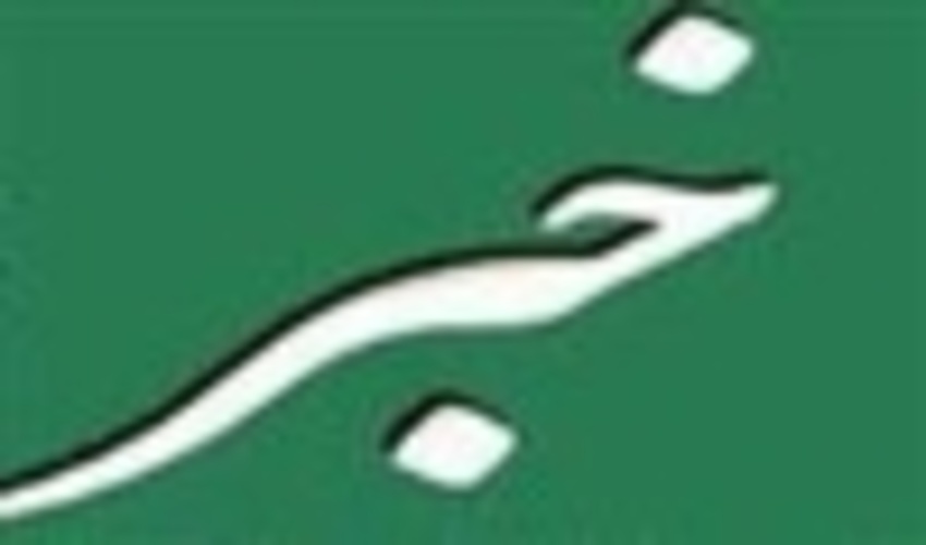  کشف و ضبط زغال غیر مجاز در بخش چوار