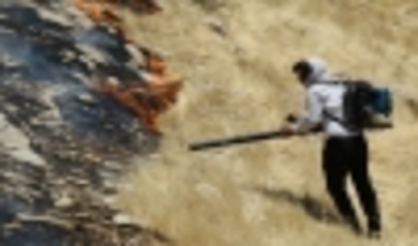 حریق در مناطق «بولی» و «ریزه‌وه‌ن» ایلام خاموش شد