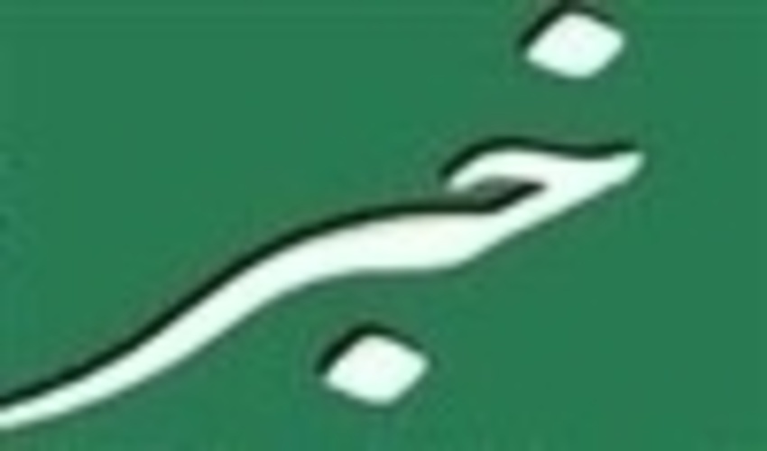 راه اندازی سیستم شبکه رادیویی دیجیتال  منابع طبیعی استان ایلام با اعتبار 2 میلیارد تومان 