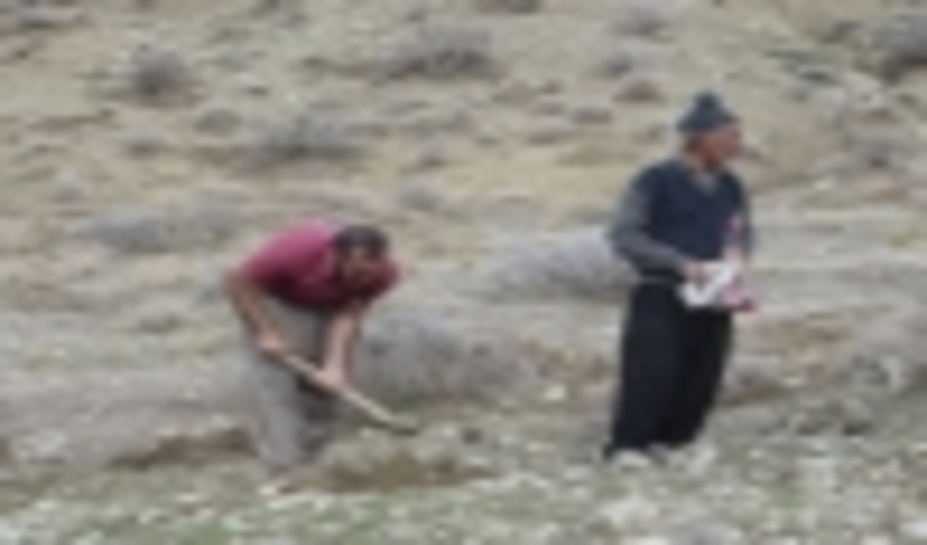 اجرای پروژه های بخش مرتع از محل صندوق توسعه ملی