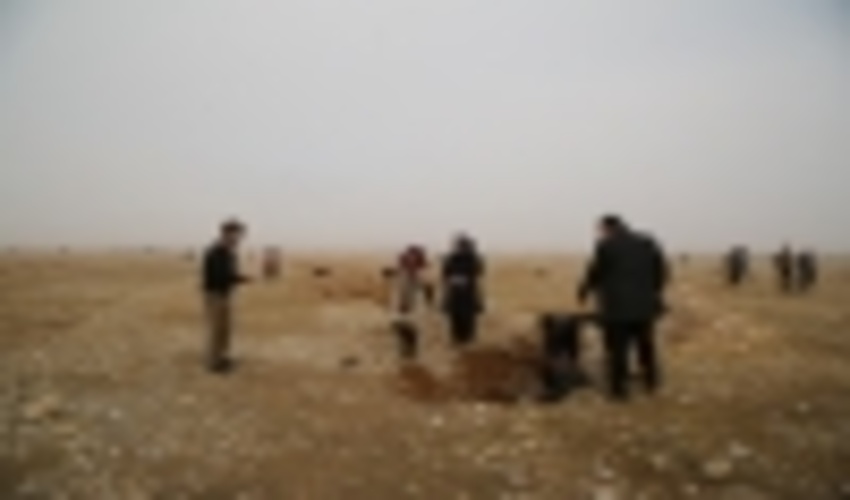 اجرای نهال کاری در سطح یک هزار هکتار از جنگل های کبیرکوه دره شهر