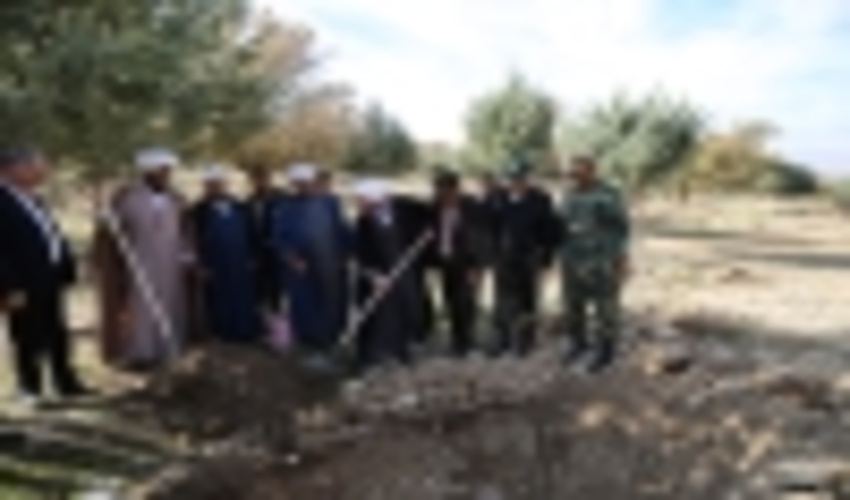 سه میلیون اصله نهال در سطح استان ایلام کاشته می شود