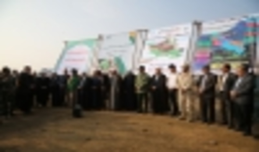 از ۱۴ میلیون نهالی که امروز در کشور  کاشته می شود ۳ میلیون آن در ایلام انجام می شود