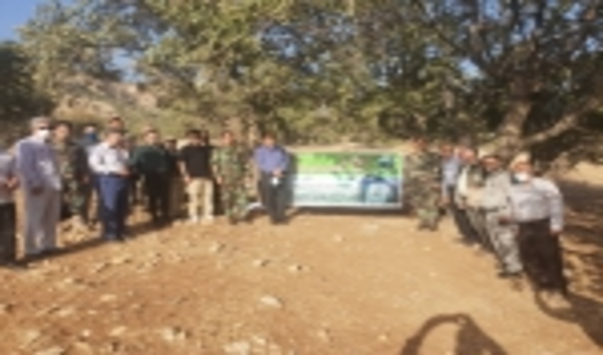 برگزاری مراسم گرامیداشت روز جنگلبان در استان 