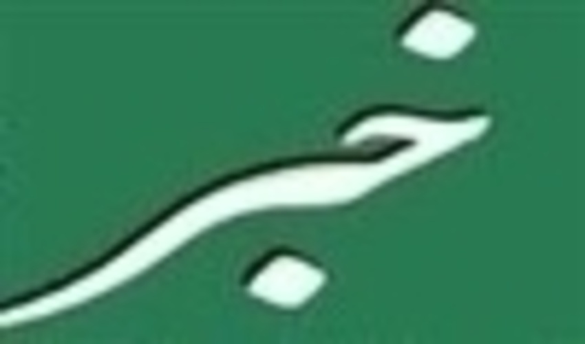 رئیس اداره منابع طبیعی دهلران:  ۳میلیون اصله نهال رایگان بین کشاورزان شهرستان دهلران توزیع می شود