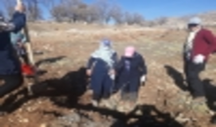 کاشت نهال توسط اعضای باشگاه کوهنوردی جمشید