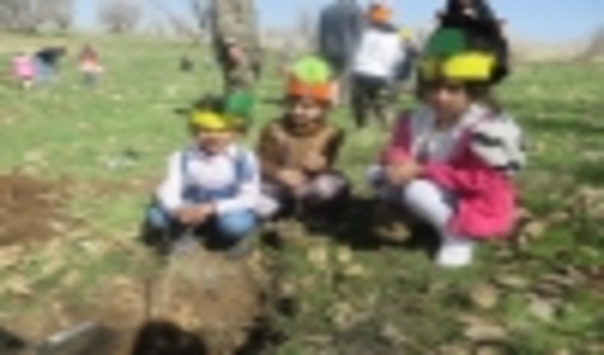 طرح هر دانش آموز یک نهال در شهرستان سیروان اجرا می شود.