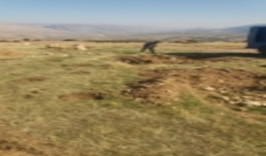 ۲۱۰ هکتار از مراتع سیروان بذر کاری می شود