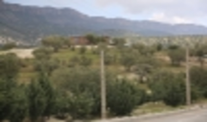 پارک جنگلی شهید باهنر شهرستان دهلران احیا می شود 