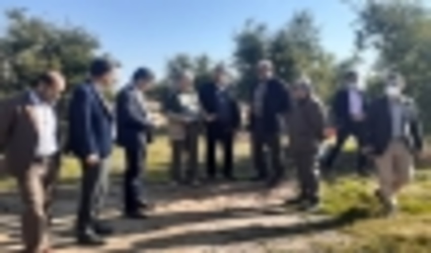 معاون مرکز جنگل های خارج از شمال: ایلام یکی از استان های موفق در زمینه جنگل کاری در کشور است