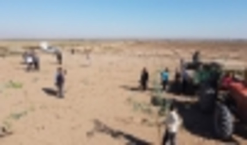 مدیران و کارشناسان جنگل استان های کشور در ایلام آموزش جنگل کاری فرا می گیرند 