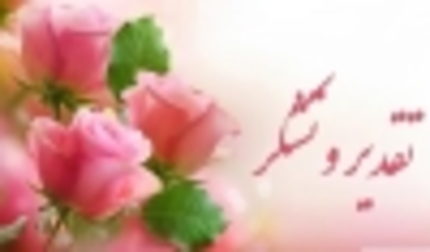 به بهانه تقدیر استاندار از اداره کل منابع طبیعی استان ایلام: خدمات منابع طبیعی استان ،تبلور مدیریت انقلابی وجهادی 