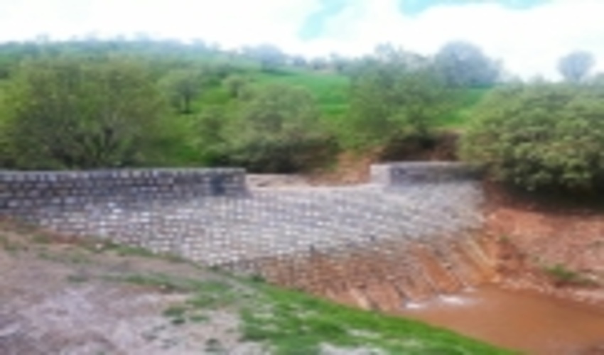 انقلاب جنگل کاری و آبخیزداری در استان