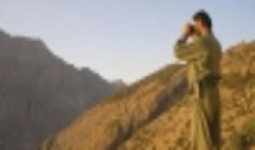 هر جنگلبان ایلامی از 5 هزار هکتار جنگل محافظت می کند.