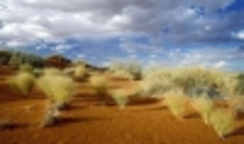 مدیرکل منابع طبیعی: الگوی بیابان‌زدایی ایلام مورد تایید یونسکو قرار گرفت