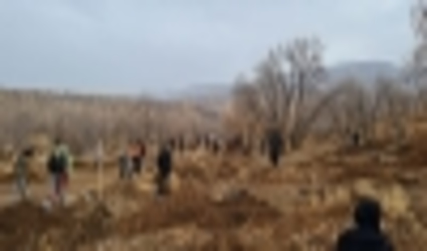 گزارش تصویری پویش نهالکاری ایران سرسبز 